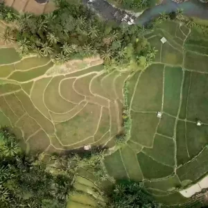 Land Reforms