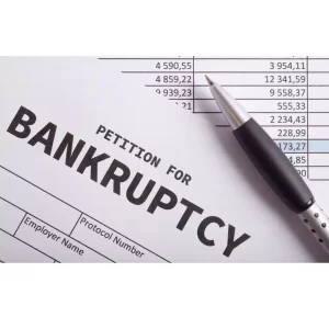 Petition for Bankruptcy