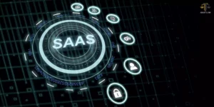 SaaS Business Model